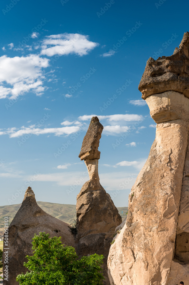 fairy chimneys in the desert of Cappadocia at Pasabag