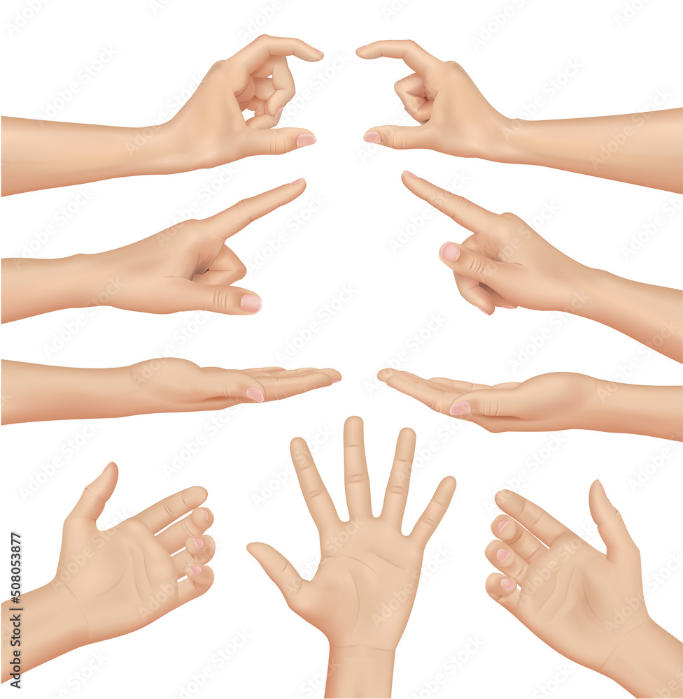 Set of Woman Hands on white background, realistic vector illustration Set of Woman Hands on white background, realistic vector illustration