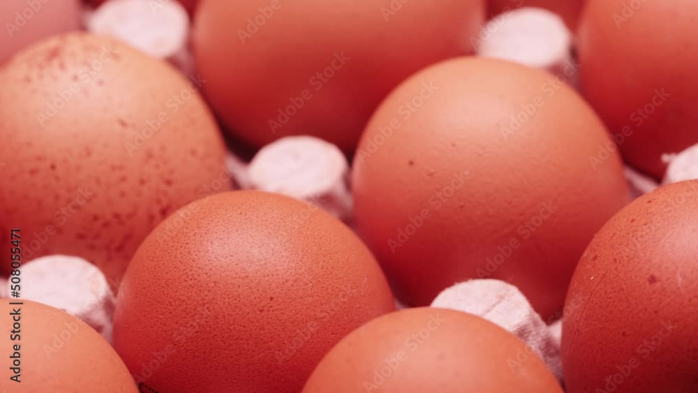Tray with chicken brown eggs Tray with chicken brown eggs
