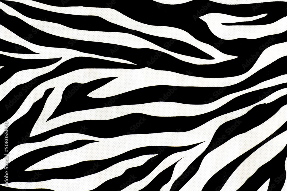 Zebra animal skin abstract fur pattern texture for design and print black and white background Zebra animal skin abstract fur pattern texture for design and print black and white background