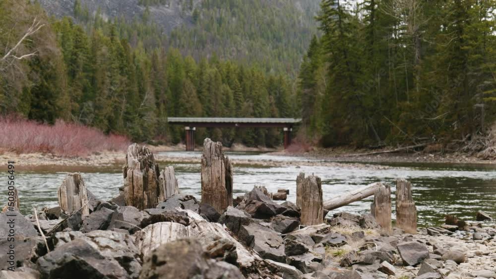 Tree Stumps, Logs, with Rolling Stream, Dry Shrubs, and Pine Trees during the Afternoon at St. Mary Lake, Near Kimberley, East Kootenays, British Columbia, Canada Tree Stumps, Logs, with Rolling Stream, Dry Shrubs, and Pine Trees during the Afternoon at St. Mary Lake, Near Kimberley, East Kootenays, British Columbia, Canada