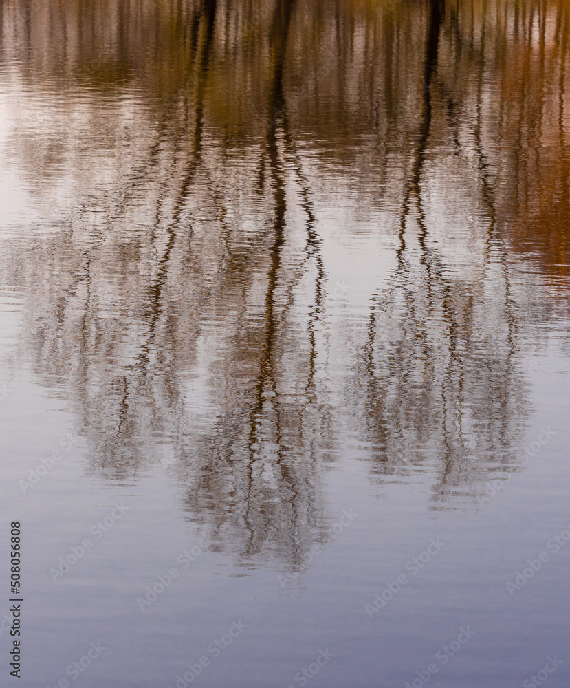 Abstract Reflections of winter trees in pond at Arley hall Cheshire, UK Abstract Reflections of winter trees in pond at Arley hall Cheshire, UK