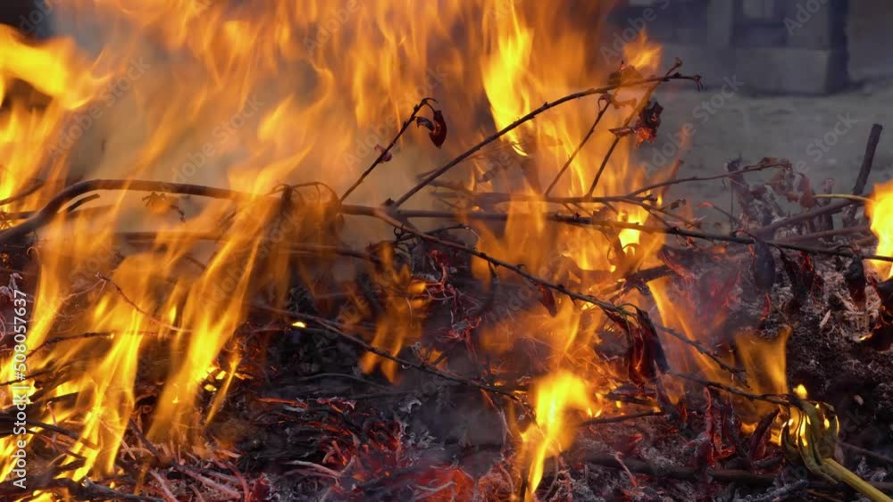 Burning branches,forest,grass.Slow motion video of fire and flames.A fire pit,firewood,burning