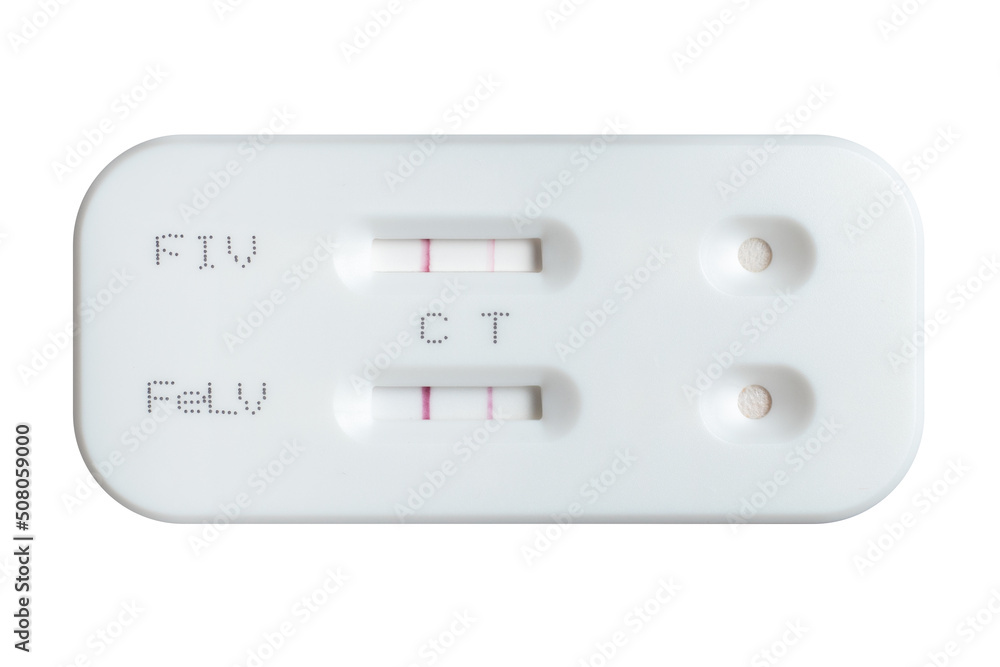 Test kit for feline leukemia virus and immunodeficiency virus with positive result on white background Test kit for feline leukemia virus and immunodeficiency virus with positive result on white background