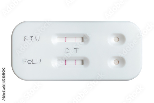 Test kit for feline leukemia virus and immunodeficiency virus with positive result on white background