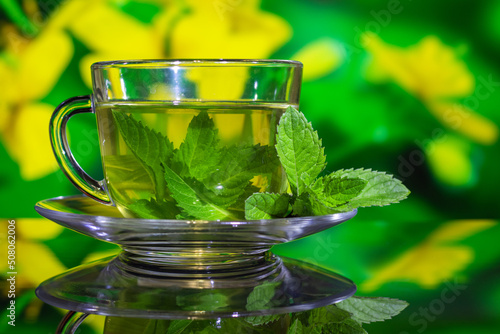 Cups of tea with fresh mint on green yellow background