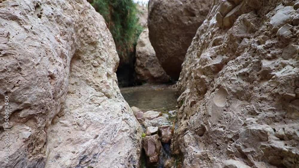 Water flows between the rocks in Nahal David - Ein Gedi Nature Reserve - Israel Water flows between the rocks in Nahal David - Ein Gedi Nature Reserve - Israel