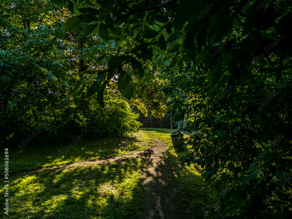 Obraz premium path in the park