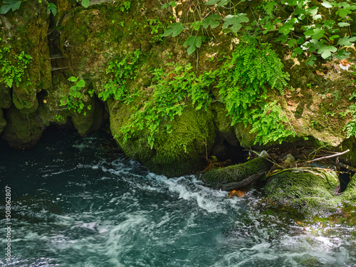 beautiful river in the nature