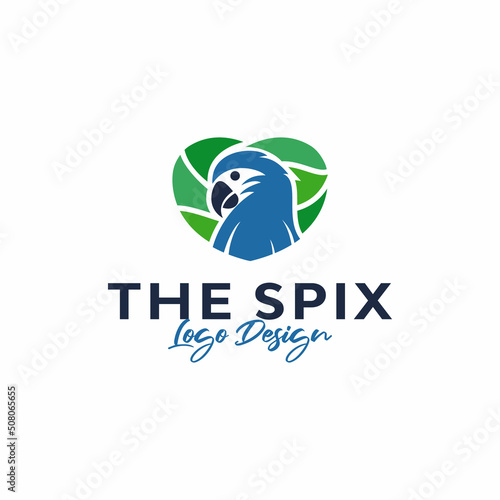 spix macaw logo design. Vector illustration of spix macaw bird and  love. modern logo design vector icon template
