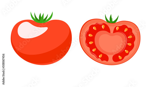 Isolated tomato on a white background. Modern illustration of vegetables. Healthy vegetarian food.