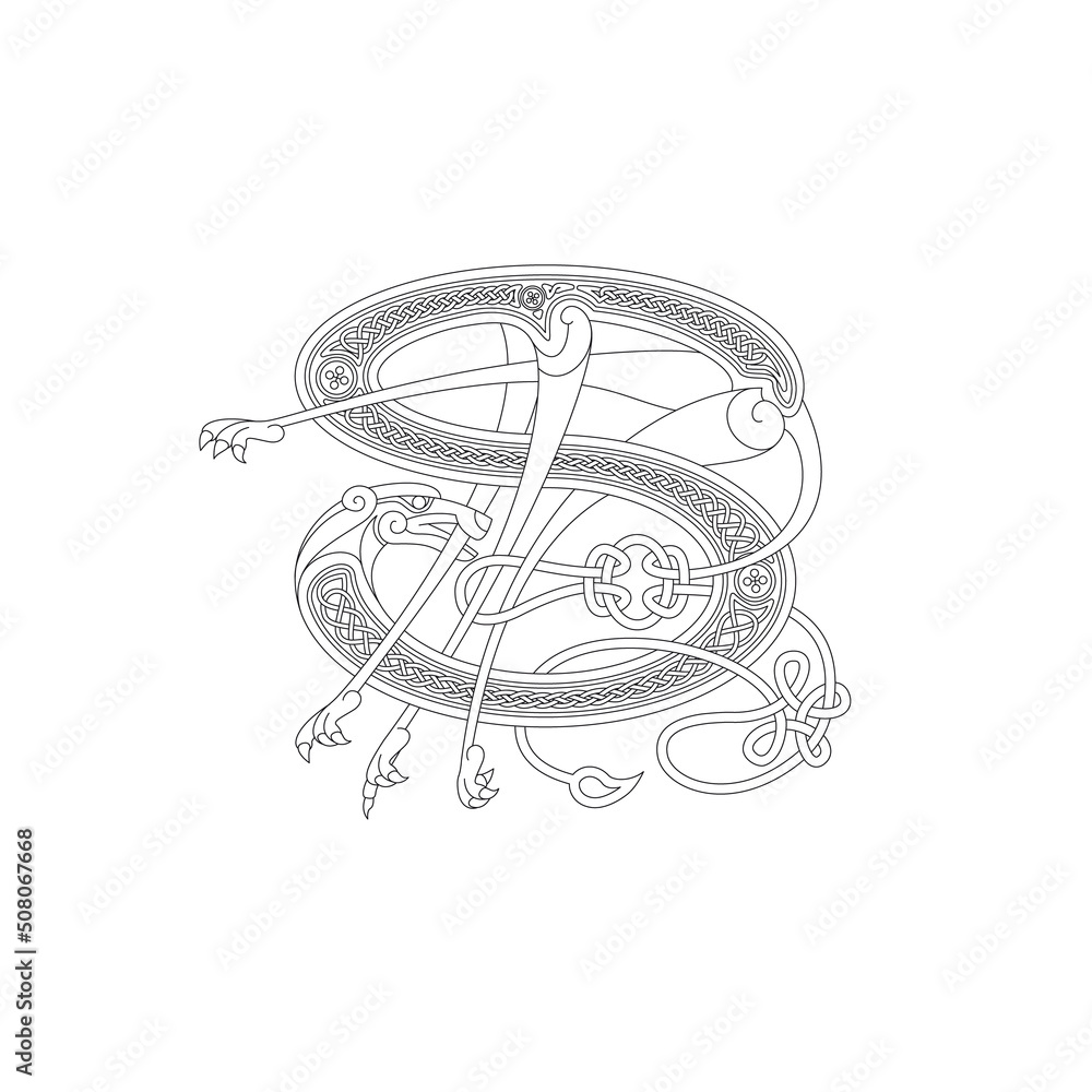 Line Drawing of a Medieval Initial Letter S combining animal body parts from a Dog and endless Celtic knot ornaments