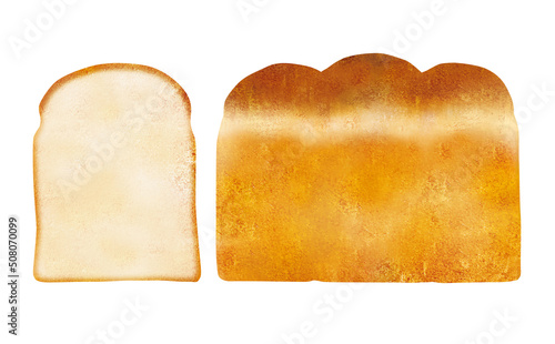 食パン水彩画