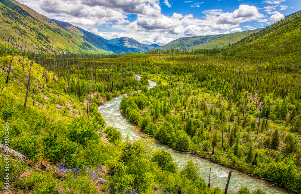 Obraz premium River flowing through valley with mountains, forest and clouds