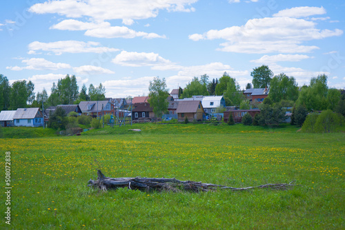 Field with yellow dandelions and blue sky. Village view