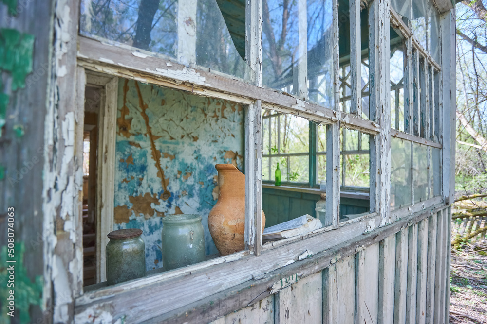 Fototapeta premium abandoned house overgrown with wild plants