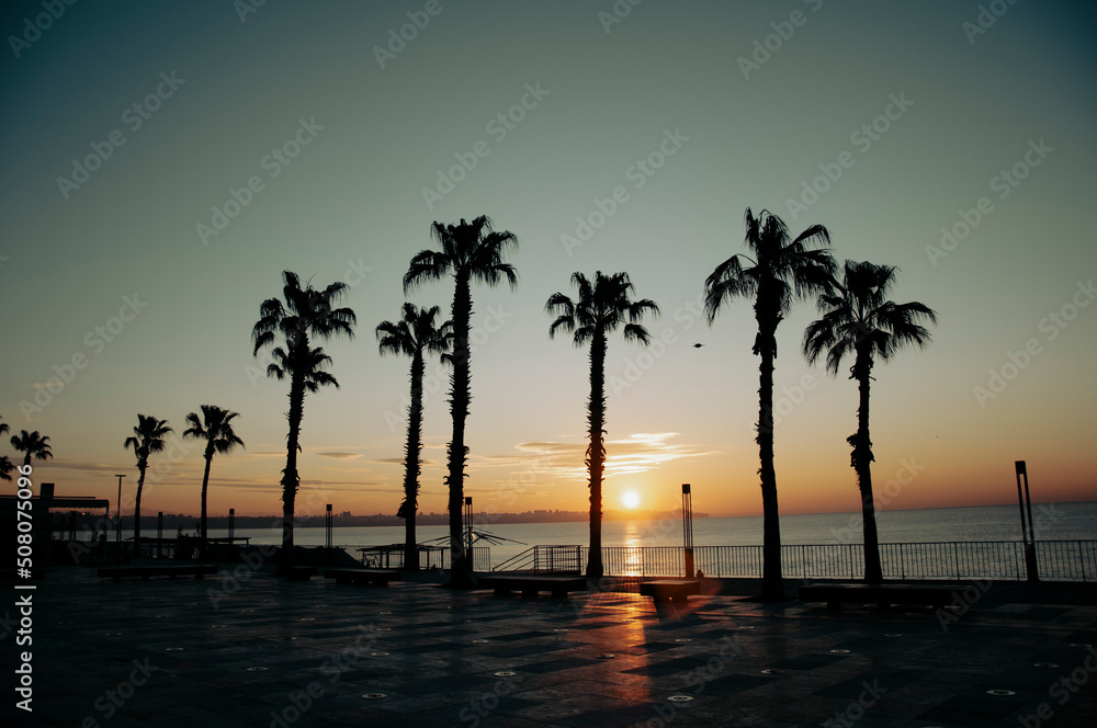 The setting sun through the palm trees on the beach.