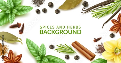 Spices and herbs frame. Realistic natural dishes ingredients, dry and fresh products, leaves, twigs and powders background, culinary backdrop, vanilla pods and flower, vector concept