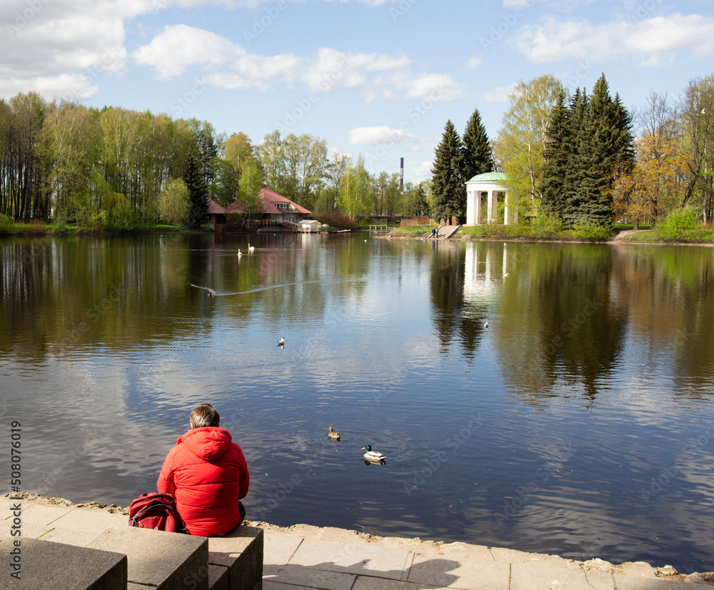 A man in a red jacket sits on the shore of a blue lake with swans and ducks