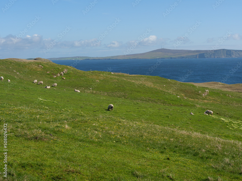 Die Shetland Inseln