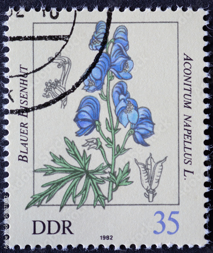 GERMANY, DDR - CIRCA 1982 : a postage stamp from GERMANY, DDR, showing the poisonous plant: red berry bryony (Bryonia dioica) . Circa 1982 photo