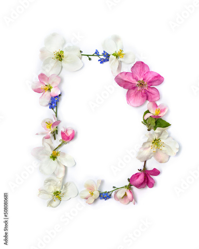 Letter D of flowers apple tree and blue wildflowers forget-me-nots on white background. Top view, flat lay