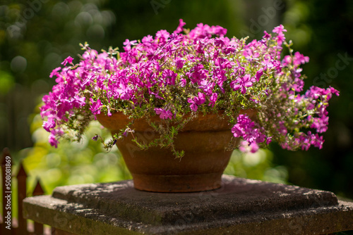 Blumentop auf einem Pfeiler