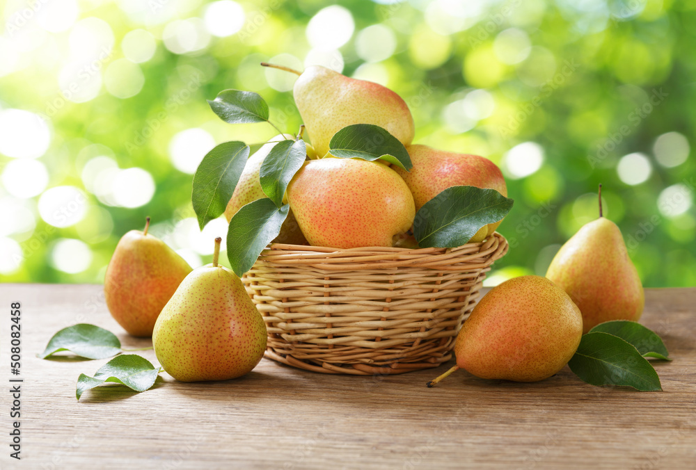fresh ripe pears in a basket fresh ripe pears in a basket