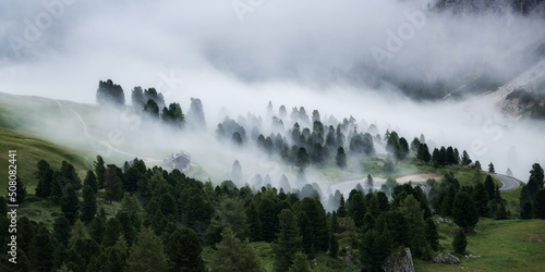 Fog in the forest in the morning in the Dolomites