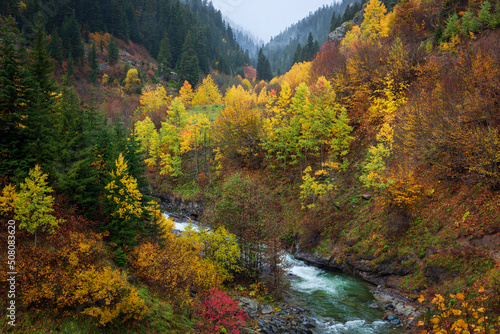 river running through the forest and autumn 