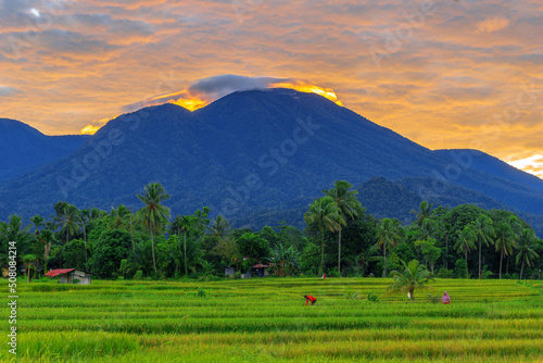 The view when the morning sun is beautiful over the mountains and green rice fields in the village of Kemumu, Indonesia photo