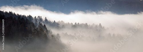 Nebel über dem Wald - Morgennebel im Herbst