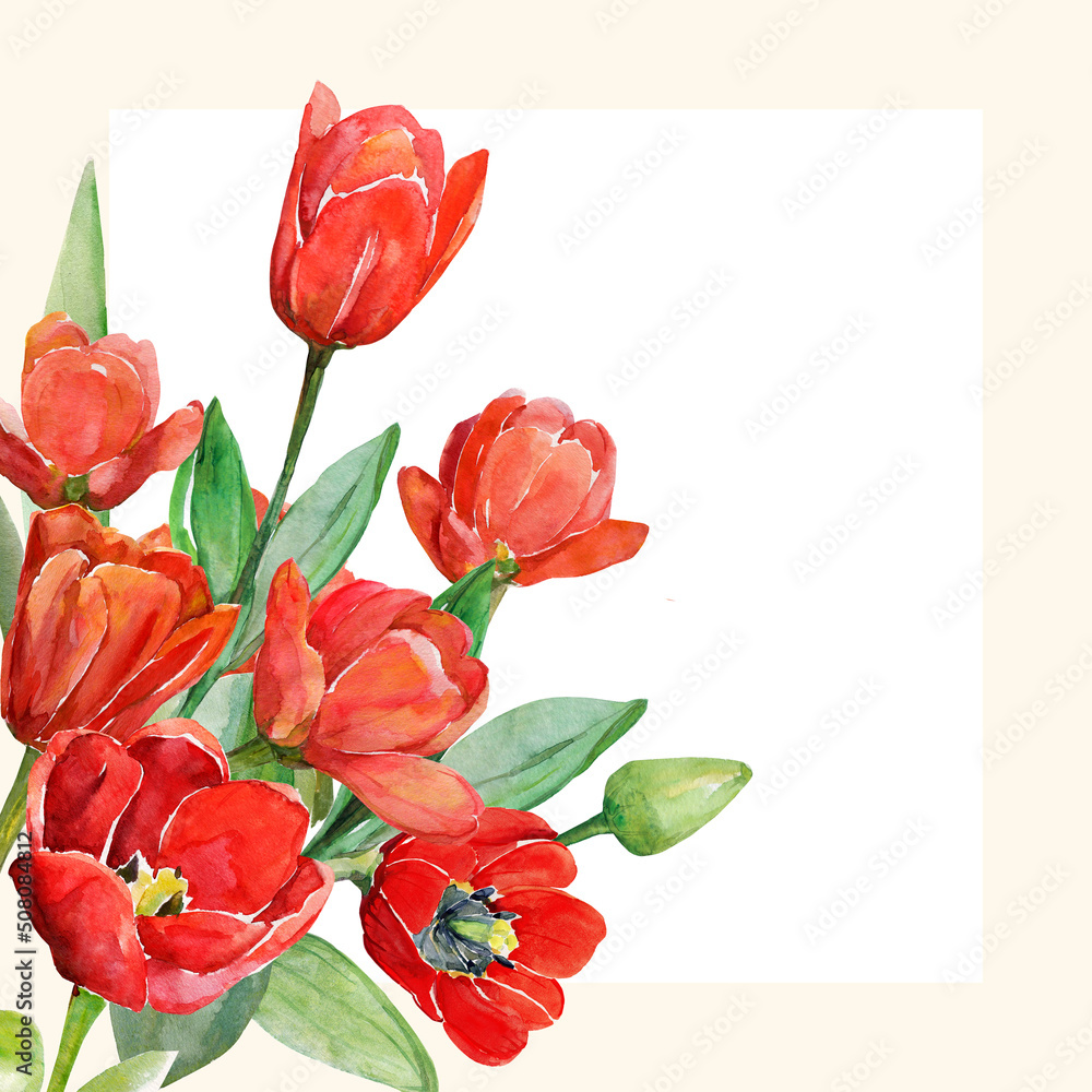 Pattern of tulips.Watercolor image on a white and color background.
