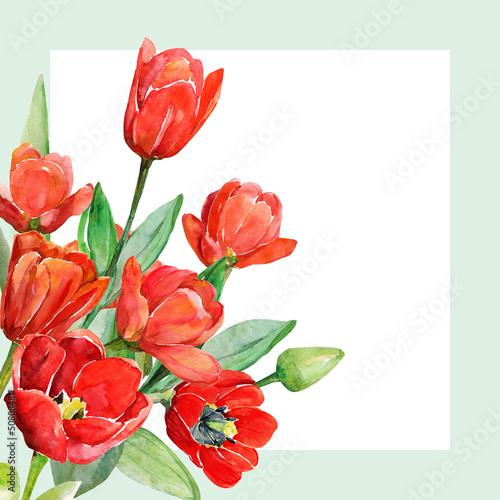 Wallpaper Mural Pattern of tulips.Watercolor image on a white and color background. Torontodigital.ca
