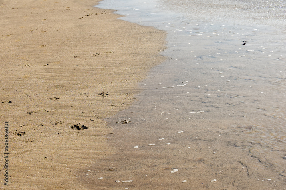 Sea shore with ocean water lapping at the sandy beach Sea shore with ocean water lapping at the sandy beach