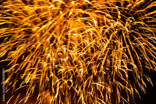 Golden firework flowers on the black night sky.