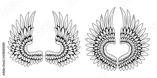 Bird wings isolated on white background. Angel wings. Wings for a tattoo. Design element.