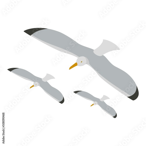 Seagull icon isometric vector. Three flying beautiful gray sea gull icon. Seabird, seagull, seafowl, larus, mew gull
