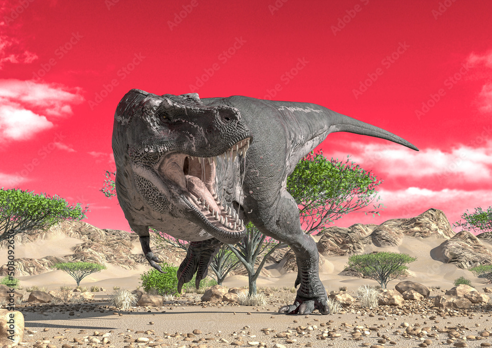 Fototapeta premium tyrannosaurus alone on desert looking for food