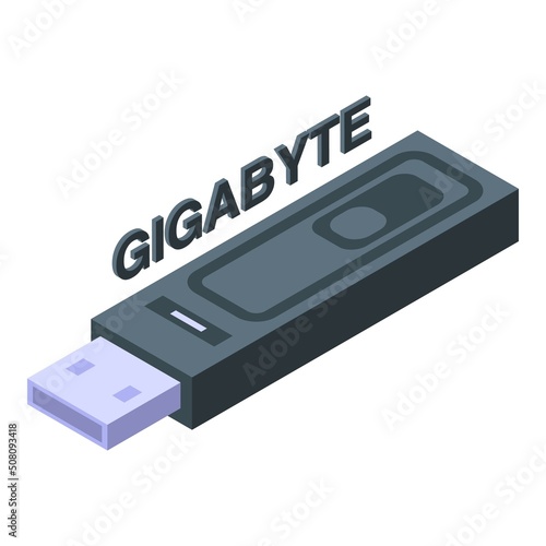 Gigabyte usb flash icon isometric vector. Sd data. Card storage