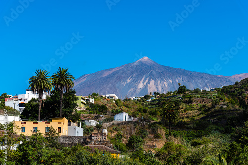 View of the Teide volcano from Icod de los Vinos on a sunny day with blue sky. Tenerife, Canary Islands, Spain © jjfarq