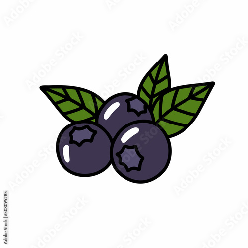 blueberry doodle icon, vector color line illustration