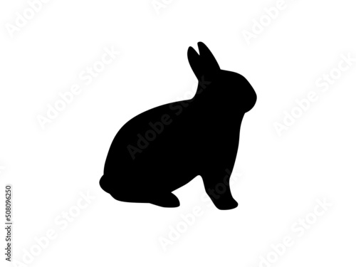 Lapin 