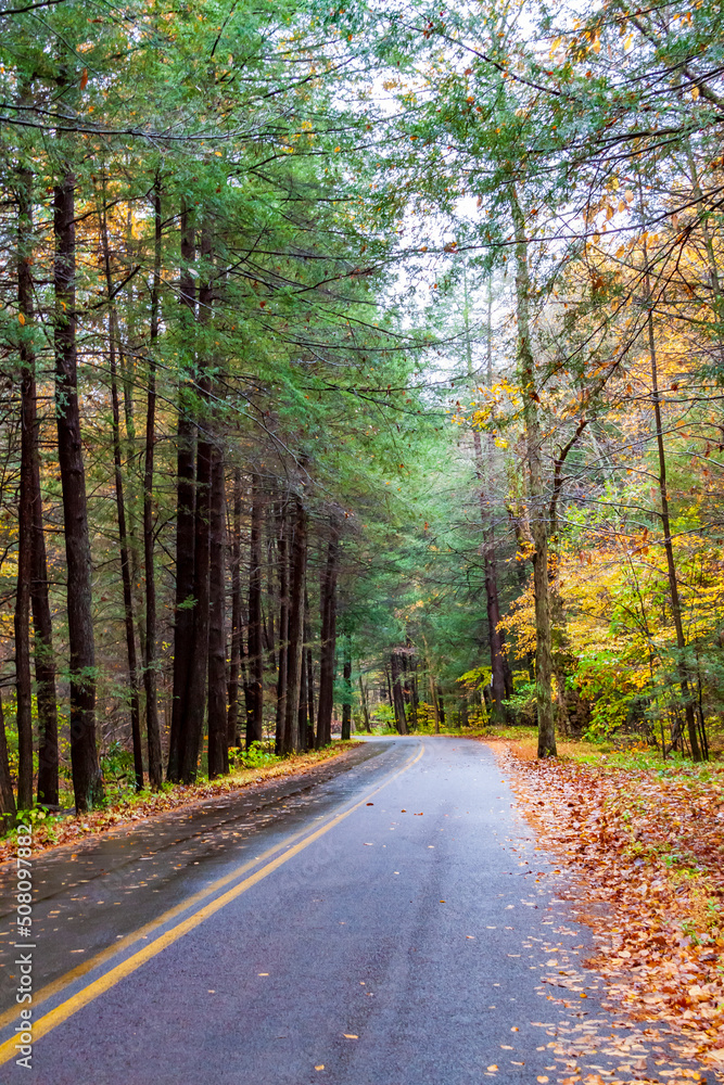 empty country road with colorful autumn foliage of trees by the side of the road. empty country road with colorful autumn foliage of trees by the side of the road.