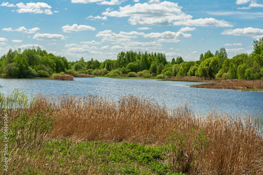 A blue lake with shores overgrown with grass and shrubs. Nature landscape background on spring day with cloudy sky