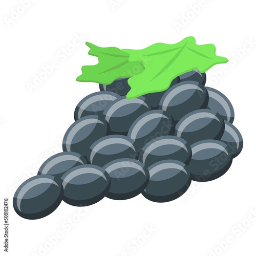 Red grapes icon isometric vector. Sommelier wine. Alcohol bottle