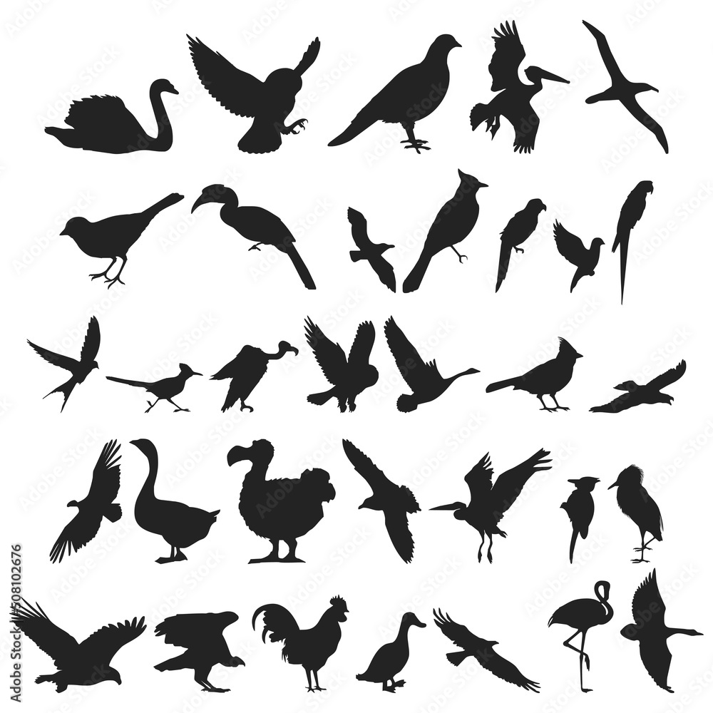 Bird collection - vector silhouette. Bird collection - vector silhouette.