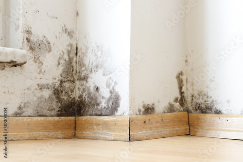 Damp buildings damaged by black mold and fungus, dampness or water. infiltration, insulation and mold problems in the wall of the house photo