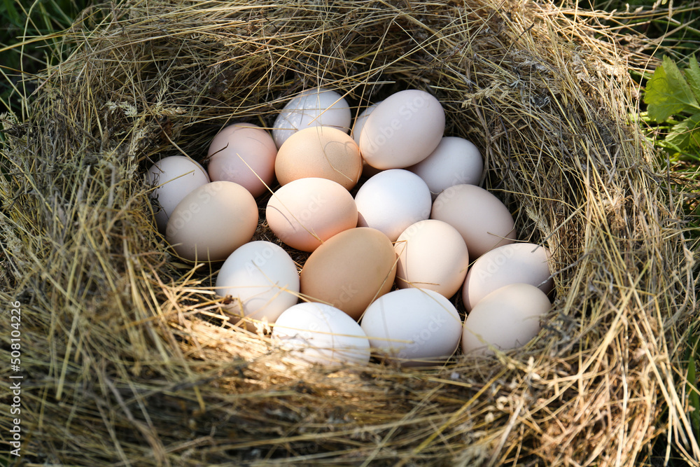 Fresh raw chicken eggs in straw nest Fresh raw chicken eggs in straw nest