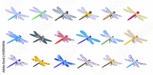 Dragonfly icons set isometric vector. Nature animal. Bug fly